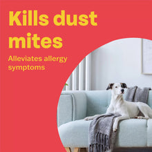 Load image into Gallery viewer, Bob Martin Clear Plus Home & Furniture Flea Spray 500ml