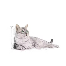 Load image into Gallery viewer, Royal Canin Indoor Appetite Control Cat Food 2kg