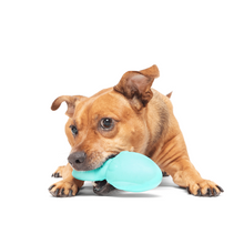 Load image into Gallery viewer, Bark Whiz Squid Dog Toy