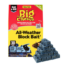 Load image into Gallery viewer, The Big Cheese All-Weather Block Bait 10g