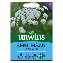 Load image into Gallery viewer, Ammi Majus Graceland