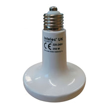 Load image into Gallery viewer, Intelec Dull Emitter Ceramic Infra-Red Heat Bulb
