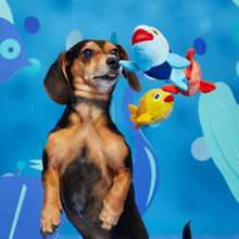 Load image into Gallery viewer, Bark The Groupers Dog Toy