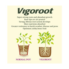 Load image into Gallery viewer, Haxnicks Vigoroot Planter