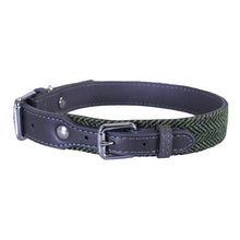 Load image into Gallery viewer, Forest Herringbone/Grey Leather Collars & Lead