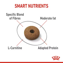 Load image into Gallery viewer, Royal Canin Appetite Control Care Cat Food 400g