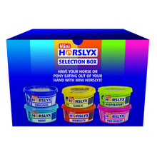 Load image into Gallery viewer, Horslyx Mini Licks - Various Options