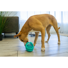 Load image into Gallery viewer, KONG Licks Rewards Medium/Large Green