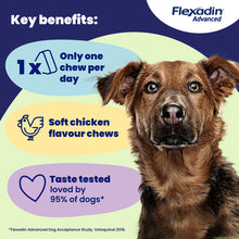 Load image into Gallery viewer, Flexadin Advanced Joint Care Supplement for Dogs