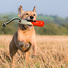 Load image into Gallery viewer, KONG Wild Shieldz Training Dummy Various Sizes/Colours