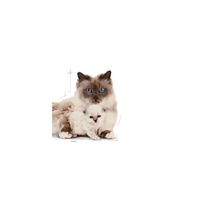 Load image into Gallery viewer, Royal Canin Mother & Babycat