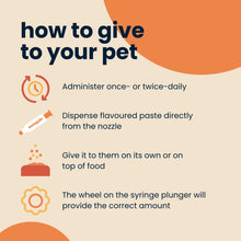 Load image into Gallery viewer, Seraquin Digest Paste For Cats & Dogs - 30ml Syringe