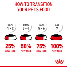 Load image into Gallery viewer, Royal Canin Wet Cat Food Hair & Skin Care in Gravy Pack of 12 x 85g