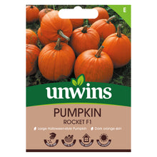 Load image into Gallery viewer, Pumpkin Rocket F1