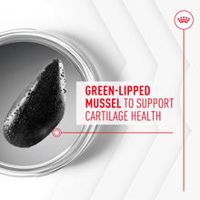 Load image into Gallery viewer, Royal Canin Joint & Ageing Supplement 240g