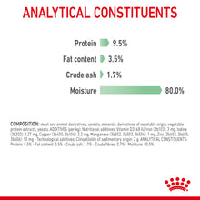 Load image into Gallery viewer, Royal Canin Wet Cat Food Digestive Sensitive Pouch 12 x 85 g