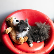 Load image into Gallery viewer, KONG Wild Knots Bear Jumbo Assorted XL Dog Toy