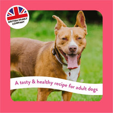 Load image into Gallery viewer, Burgess Supadog Salmon Rescue Dog Food 12.5kg