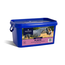 Load image into Gallery viewer, Dodson And Horrell Supplements For Horses- Various