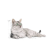 Load image into Gallery viewer, Royal Canin Indoor Appetite Control Cat Food 4kg