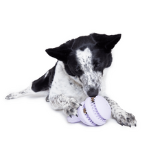 Load image into Gallery viewer, Bark Hippie Hopper Dog Toy