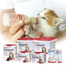 Load image into Gallery viewer, Beaphar Lactol Kitten Natural Milk Substitute 250g