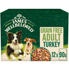 Load image into Gallery viewer, James Wellbeloved Grain Free Adult Turkey In Gravy Pouch 90g x 12