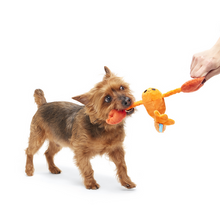 Load image into Gallery viewer, Bark Della Crawfish Dog Toy