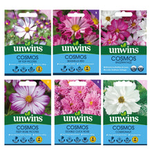 Load image into Gallery viewer, Unwins Cosmos Pink Seed Bundle
