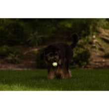 Load image into Gallery viewer, Chuckit! Max Glow Dog Fetch Toy Balls Medium 2 Pack