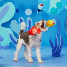 Load image into Gallery viewer, Bark The Groupers Dog Toy