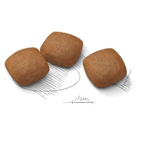 Load image into Gallery viewer, Royal Canin CCN Maxi Joint Care 10kg