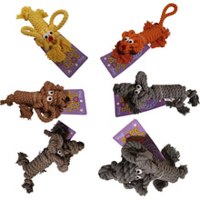 Load image into Gallery viewer, Henry Wag Rope Buddy Toy- Various Colours