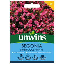 Load image into Gallery viewer, Begonia Super Cool Pink F1