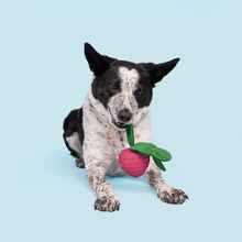 Load image into Gallery viewer, Bark Turnt Up Turnip Dog Toy