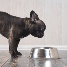 Load image into Gallery viewer, Copdock Mill Premium Salmon & Potato Dog Food 12kg