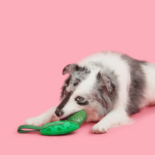 Load image into Gallery viewer, Bark Leaf Thrower Dog Toy
