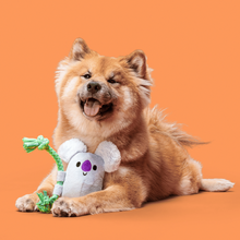 Load image into Gallery viewer, Bark Koa Koala Dog Toy