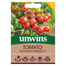 Load image into Gallery viewer, Tomato (Cocktail) Terenzo F1