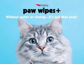 Load image into Gallery viewer, Petkin Paw Wipes, 100 Pack – Orange Scented Paw Cleaning Wipes for Dogs and Cats – Aloe, Vitamin E & Paw Balm, Safe for Daily Use