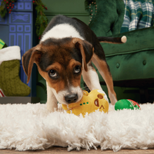 Load image into Gallery viewer, BARK Xmas Ginger Boy Brew Dog Toy - Plush 2-Part Gingerbread and Coffee Squeaky Toy