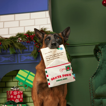 Load image into Gallery viewer, BARK Xmas Letter To Santa Paws Dog Toy - Plush Envelope Toy with Treat Pocket