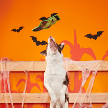 Load image into Gallery viewer, BARK Halloween Frankenstein's Muttster Dog Toy - Plush Squeaky Toy, No Stuffing