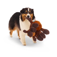Load image into Gallery viewer, BARK Harry Potter Aragog Dog Toy - Plush Spider Toy with Spiky Squeaker and Dangly Legs