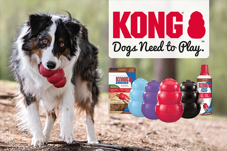 Dogs Need To Play - Give Them KONG