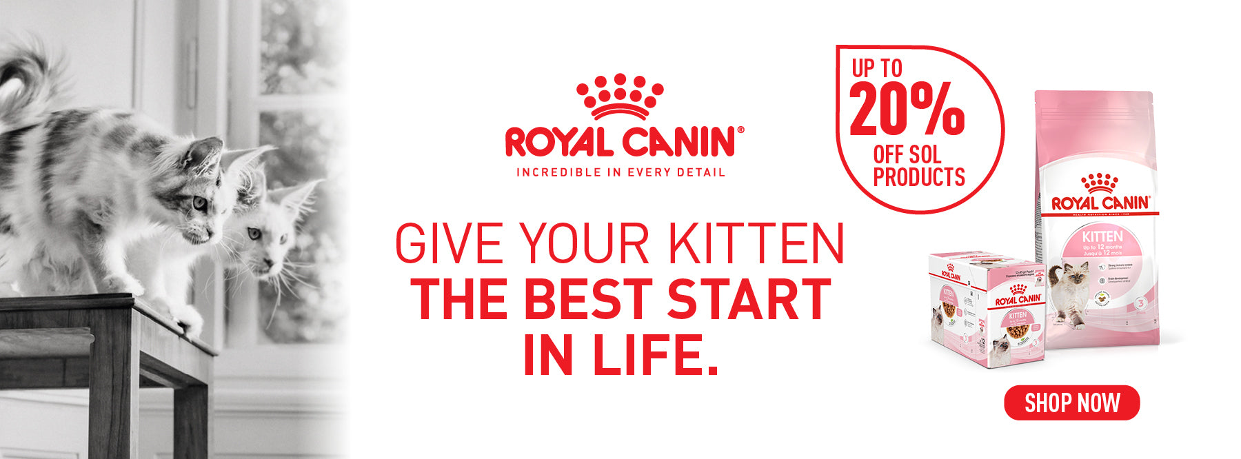 Royal Canin Kitten April Sale