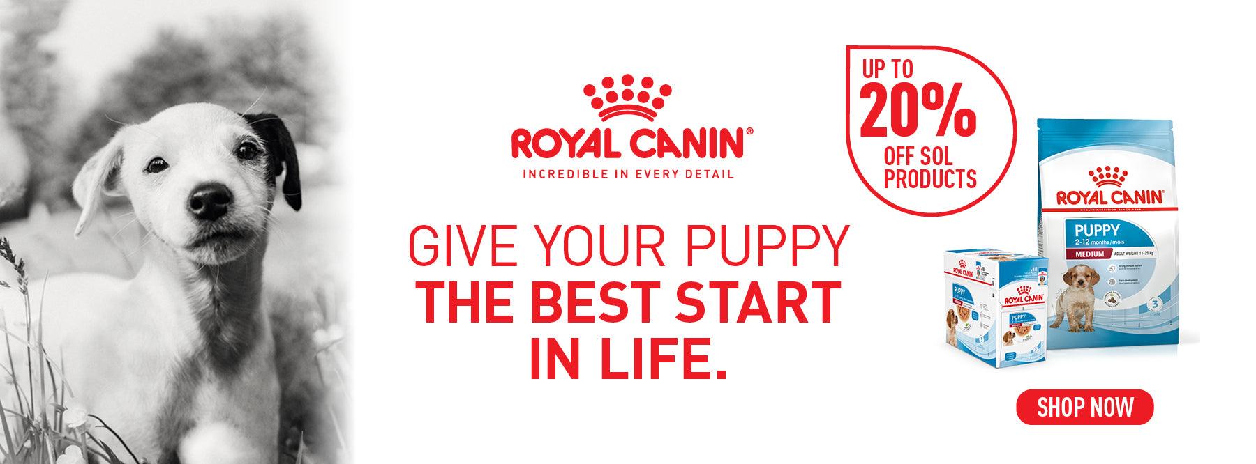 Royal Canin Puppy April Sale