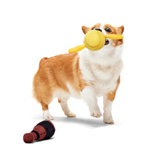 Load image into Gallery viewer, BARK Harry Potter Quidditch Equipment Pack Dog Toy - Plush Multi-Part Fetch Set