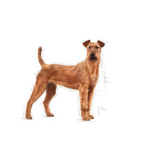 Load image into Gallery viewer, Royal Canin CCN Medium Dental Care Dog Food 10kg