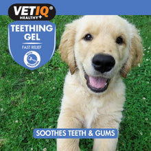 Load image into Gallery viewer, VETIQ Teething Gel 50G